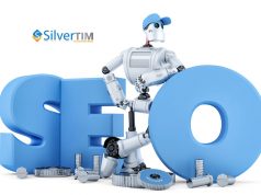 mysilverweb search engine optimisation