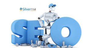 mysilverweb search engine optimisation